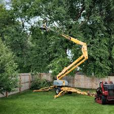 Best Organic Lawn Care Solutions  in Kerhonkson, NY